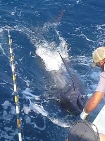 Montauk Report Photo 1