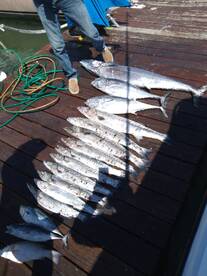 Cancún Report Photo 2