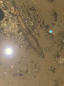 Last call for Summer!