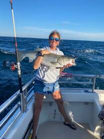 Montauk Report Photo 1