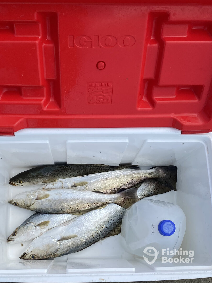 Galveston Report Photo 0