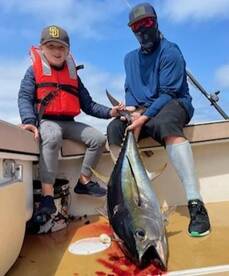 50 lb Yellowfin