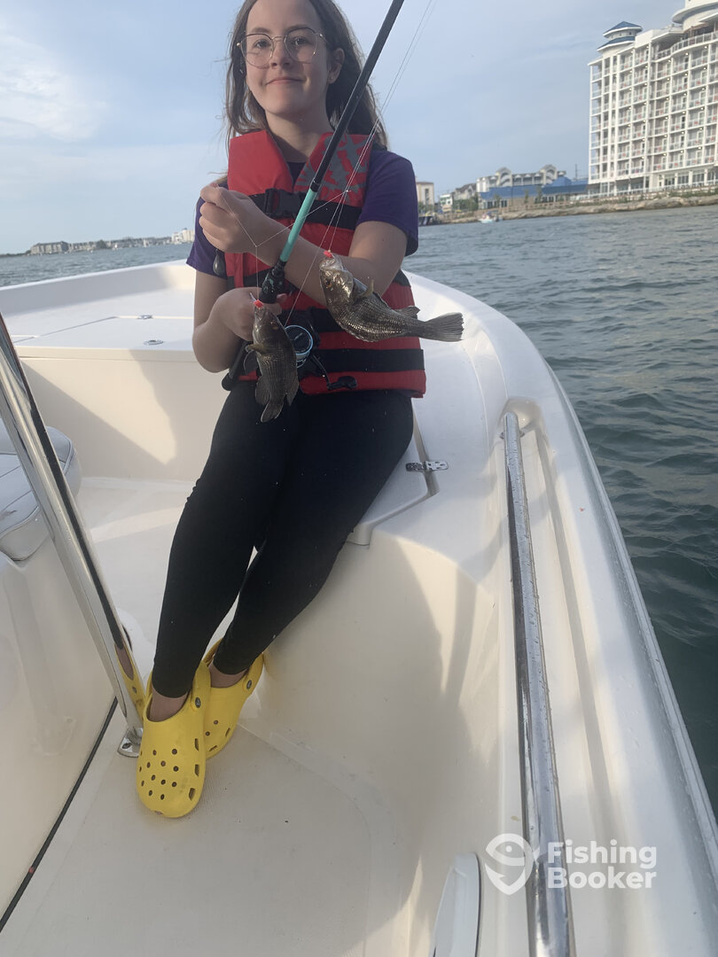 Ocean City Report Photo 0