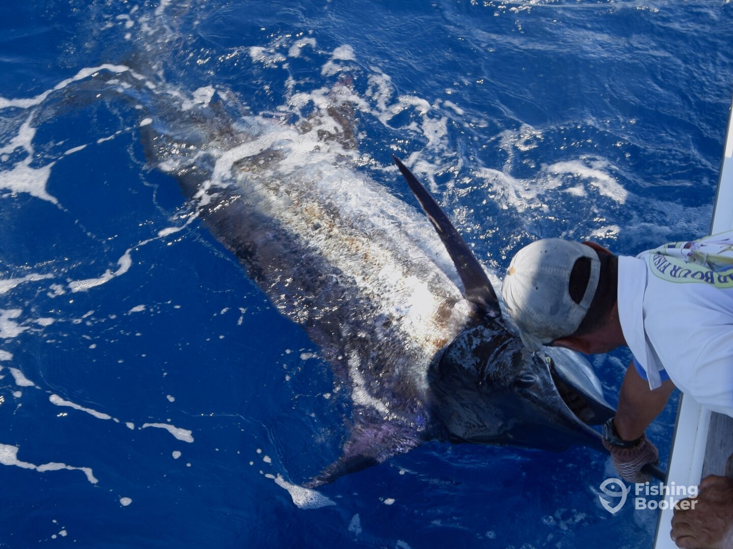 400lb Blue Marlin on Nambas Fishing Charters