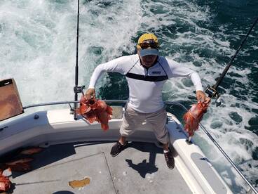 Barracudas and rockcod