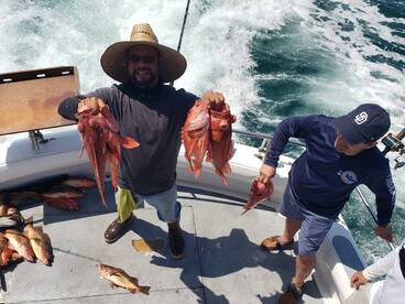 Ensenada Report Photo 1