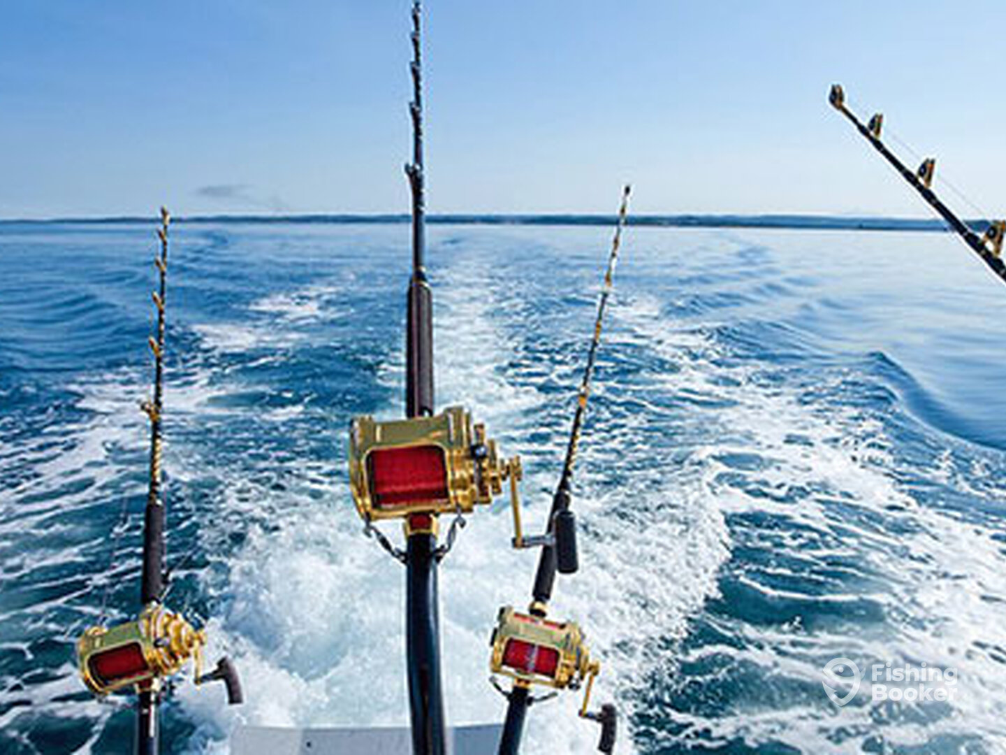 Galveston Report Photo 0