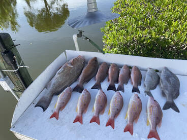 Nokomis Report Photo 2