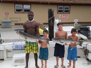 Montauk Report Photo 1
