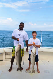 Double the fun, Double the bass