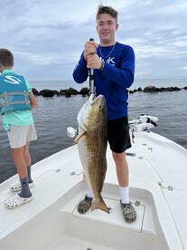 St. Bernard Report Photo 2