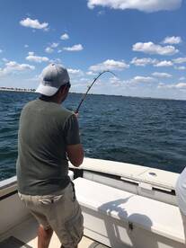 The Bluefish are here!