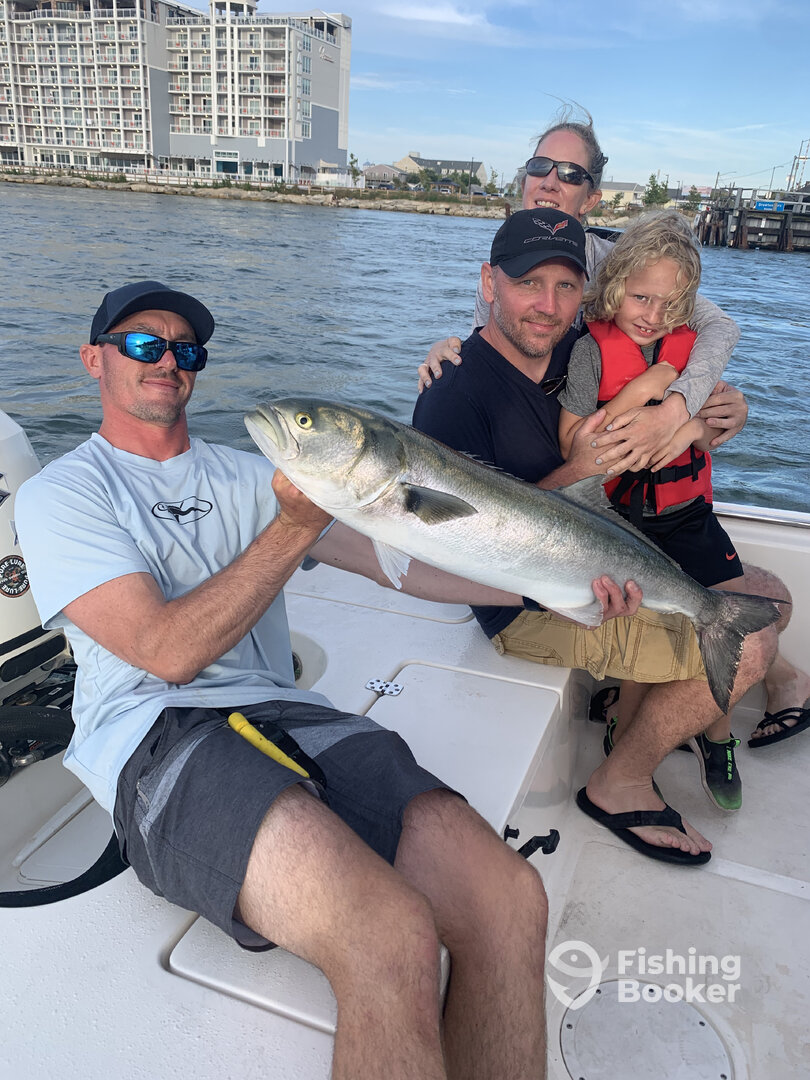 Ocean City Report Photo 0