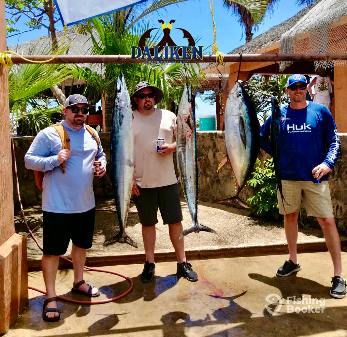 San Jose del Cabo Report Photo 0