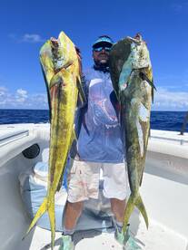 Mahi bite is turn on this monday 