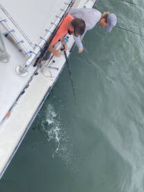 Nags Head Report Photo 2