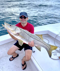 Massive Snook
