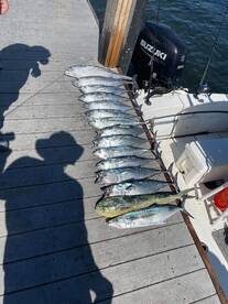 Pompano Beach Report Photo 1