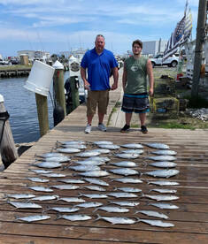 Lots of Nearshore Action