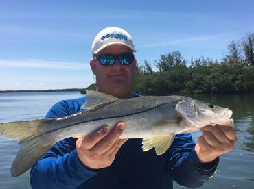 Reds and Snook