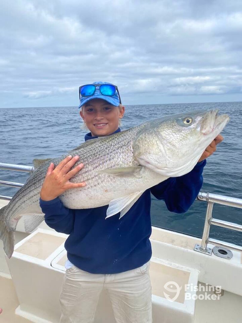 Montauk Report Photo 0