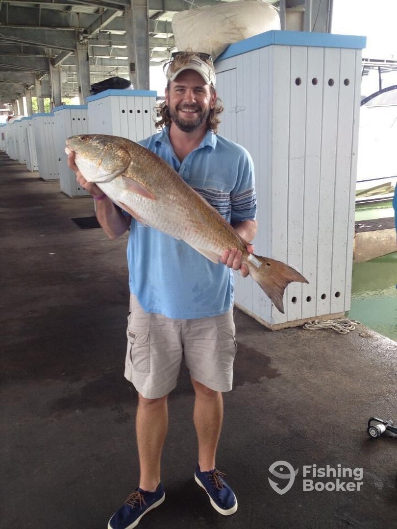 Galveston Report Photo 0
