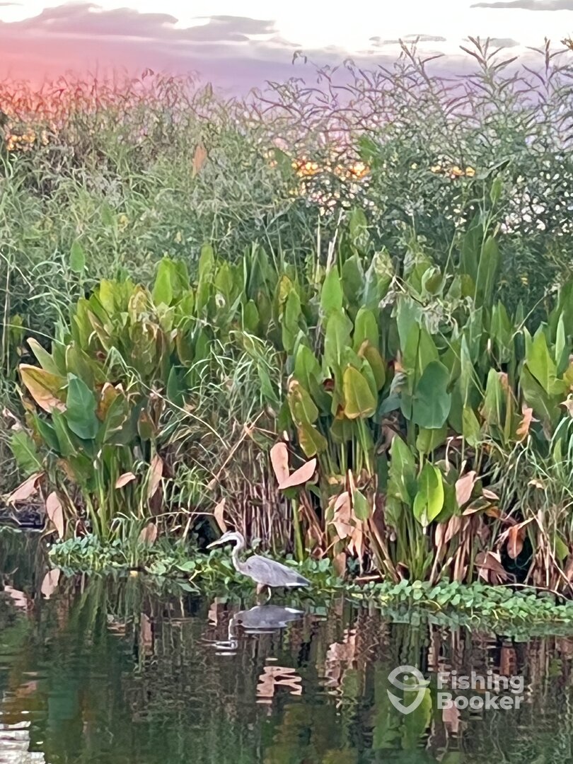 Lake Worth Report Photo 0