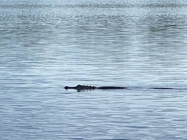 Lake Worth Report Photo 1