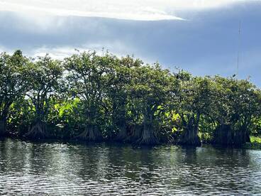 Lake Worth Report Photo 2