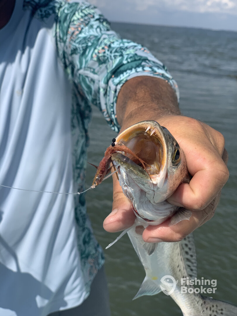 Islamorada Report Photo 0