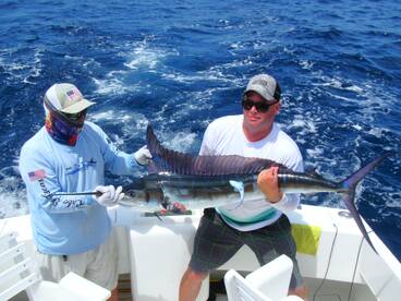 Cabo San Lucas Report Photo 2