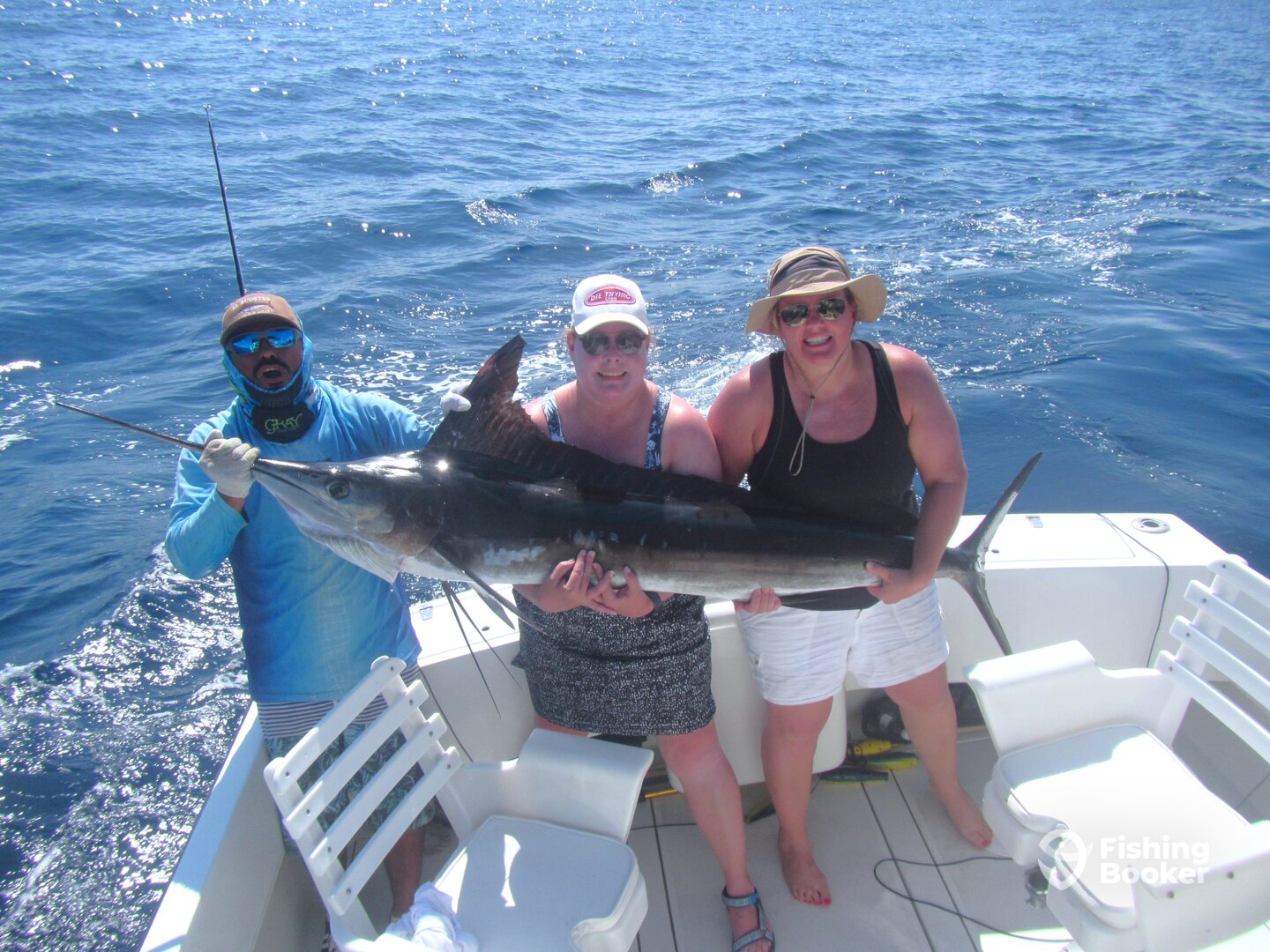 Cabo San Lucas Report Photo 0