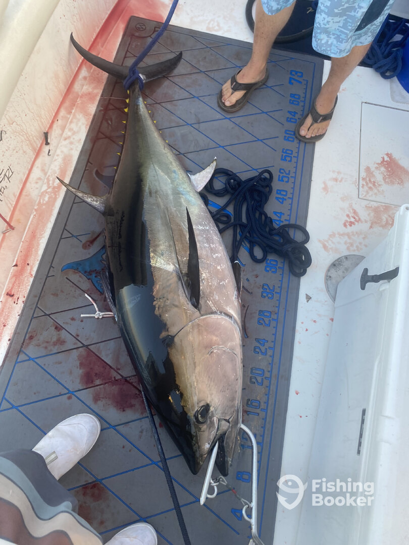 Stonington Report Photo 0