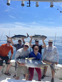 Stonington Report Photo 1
