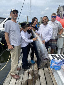 Stonington Report Photo 2