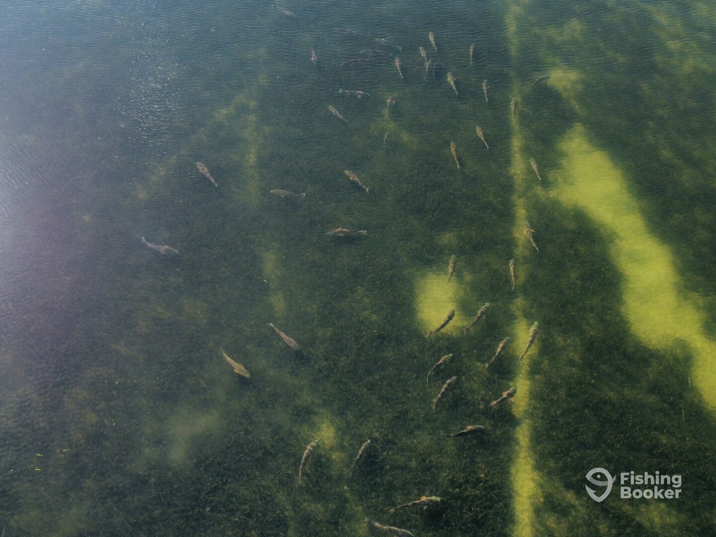 Bradenton Report Photo 0