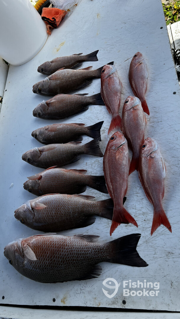Nokomis Report Photo 0