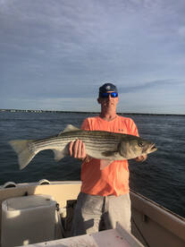 Hampton Bays Report Photo 1