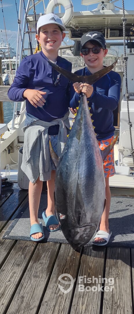 Montauk Report Photo 0