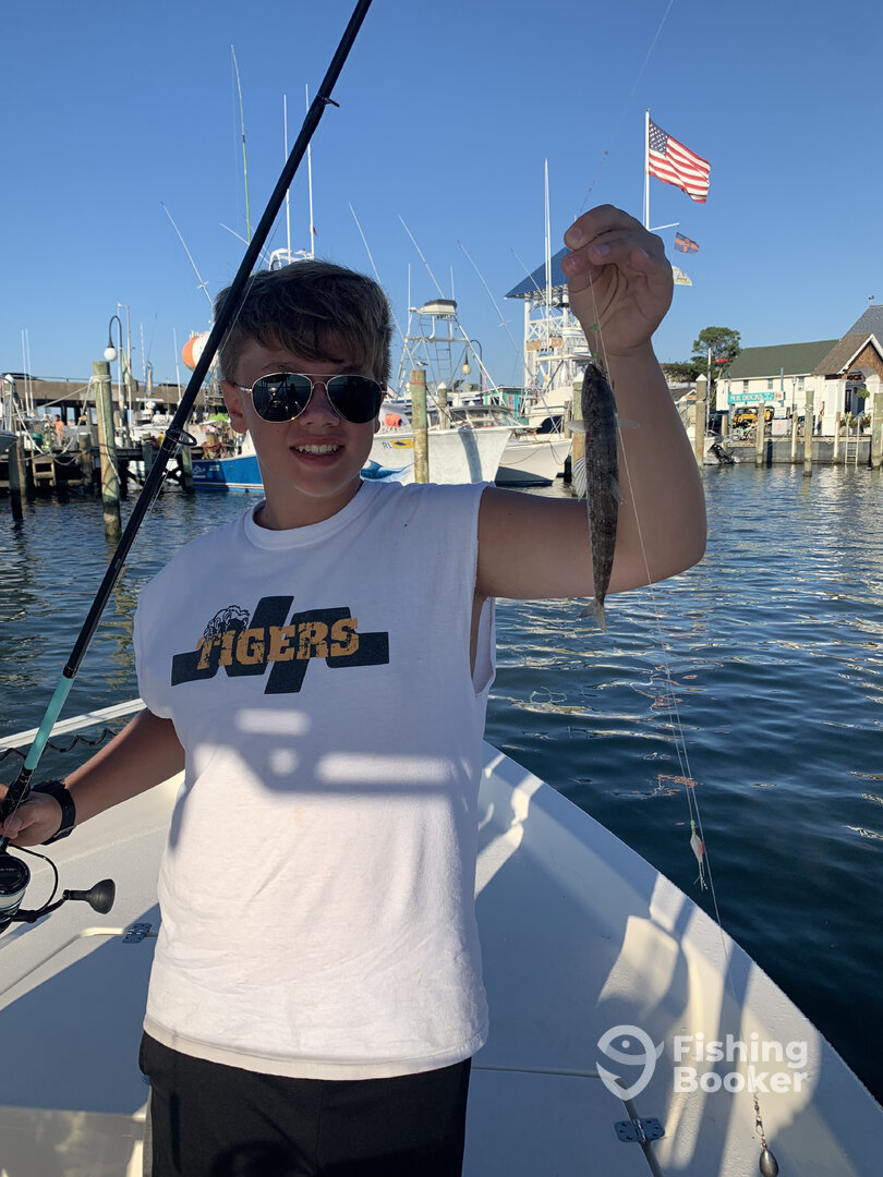 Ocean City Report Photo 0