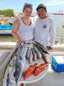 big barracuda few groupers and tons of s
