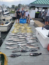 Mahi mahi and tiles! 