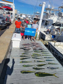 More mahi and tiles! 