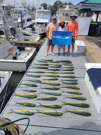 Limits of mahi!