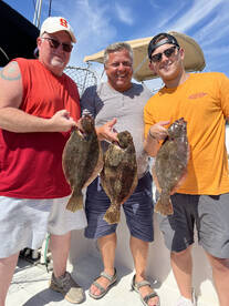 All bigger fish today