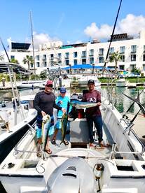 San Jose del Cabo Report Photo 2