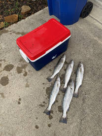 Galveston Report Photo 2