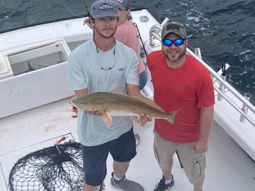 Nags Head Report Photo 2