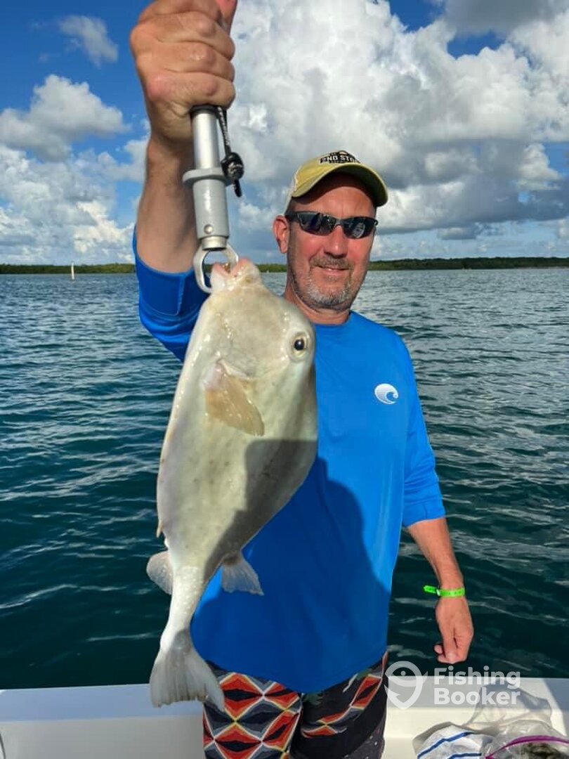 Islamorada Report Photo 0
