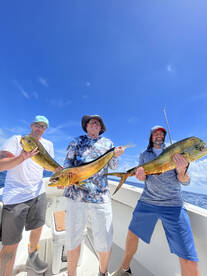 Mahi are starting to show up!